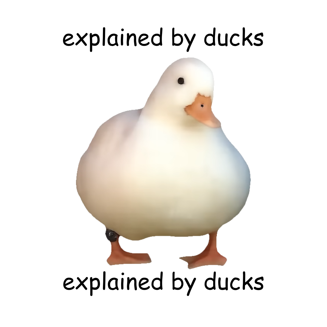 Explained by ducks christmas splash screen